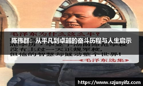 陈伟群：从平凡到卓越的奋斗历程与人生启示